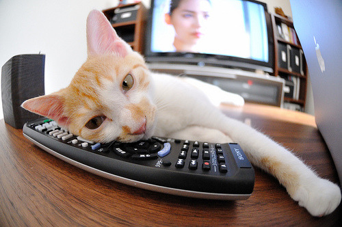 AYX体育官网-“飘移王者”盛宴：车手们的漂移技巧一览，如何玩漂移车