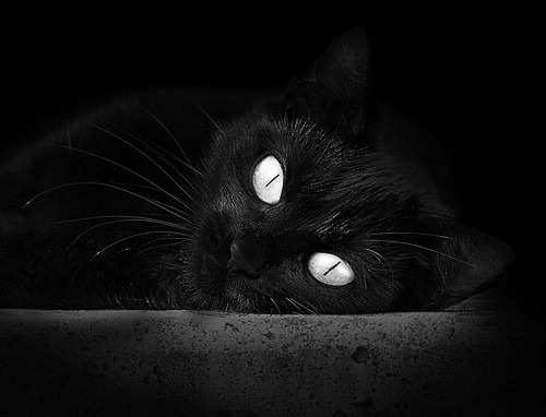 爱游戏-体育产业资本逐步向篮球项目倾斜，发展潜力巨大，体育产业盈利模式