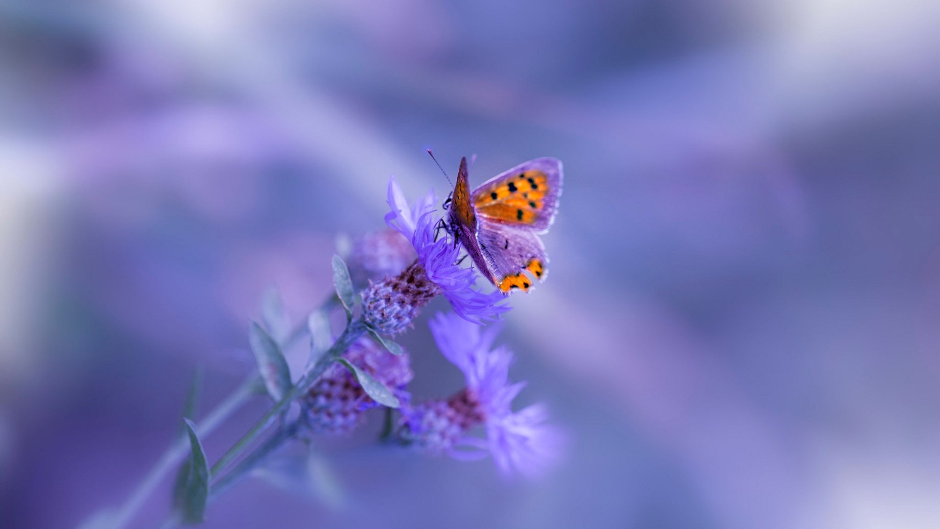 爱游戏登录入口-篮球场馆环境绿色改造项目成效显著，篮球场改造工程