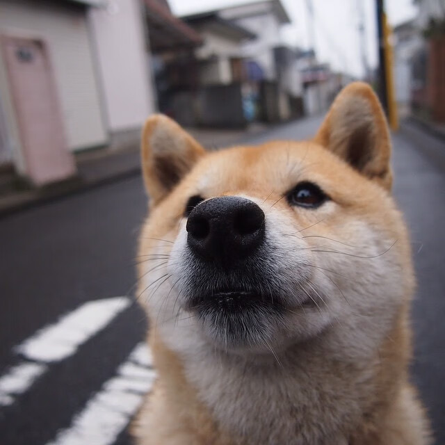 AIYOUXI.COM-国民队锋线表现活跃，国民队长