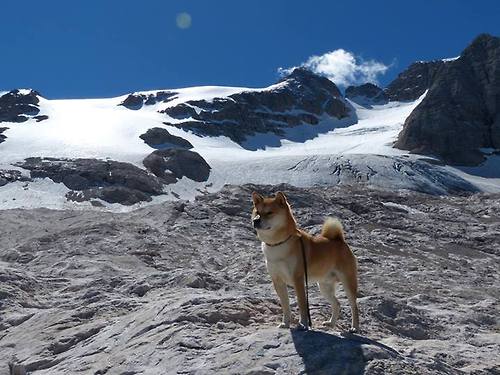 AYX GAMING-墨西哥马术协会授予马尔科·阿尔瓦雷斯“年度最佳马匹护理员”称号。