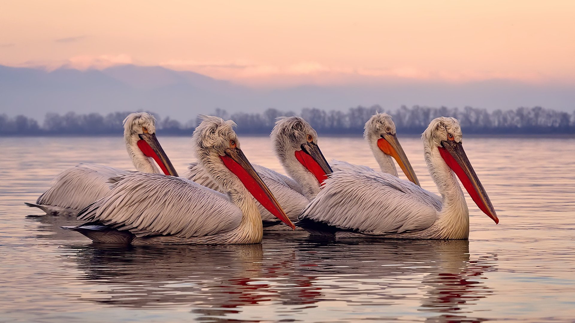 江苏队成功逆袭，球队实力得到验证！，江苏队吧 百度贴吧
