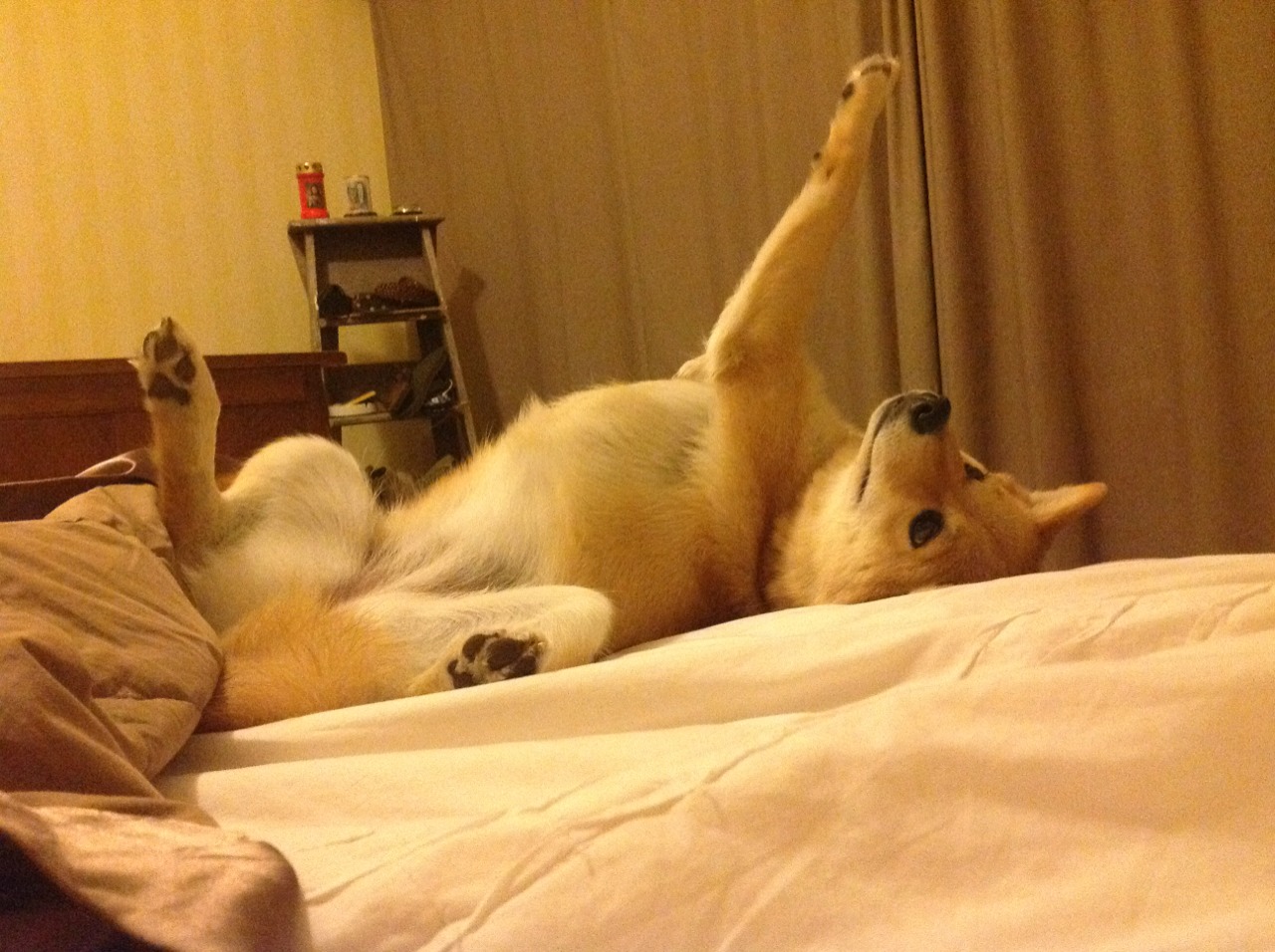 爱游戏体育官方网站-独立队年轻球员成长迅速，独立综队