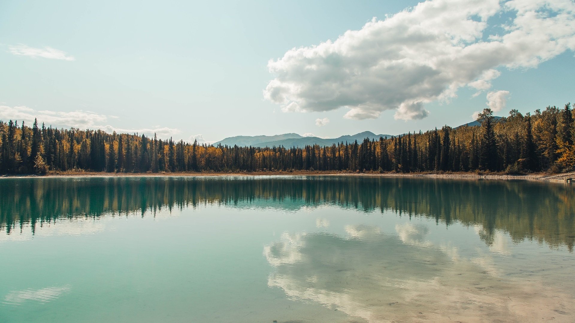 雷吉斯期待莫拉塔回归，AC米兰教练信心十足，ac米兰莫雷诺