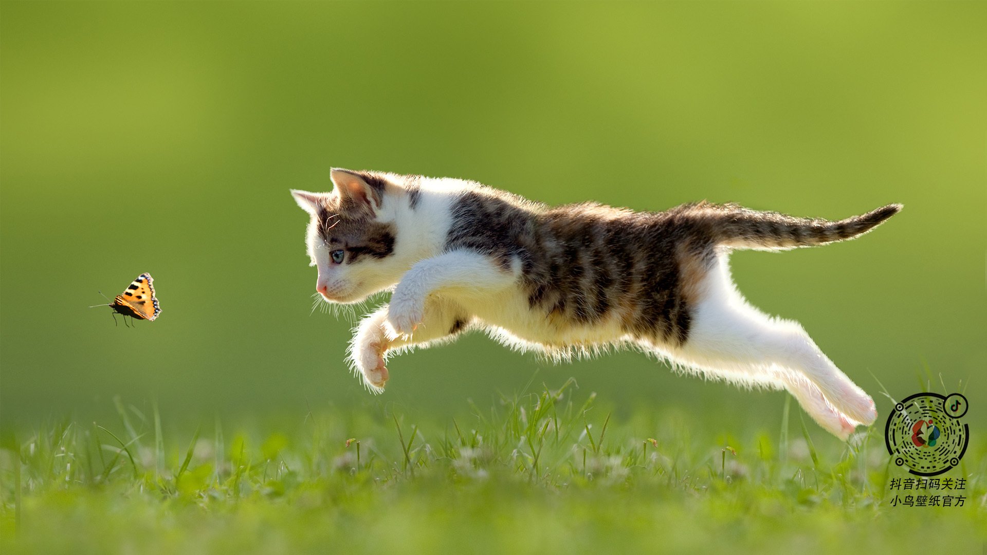 中超球员受伤频率数据对比,中超 受伤